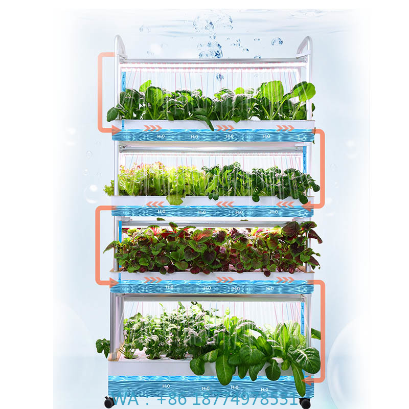 Smart Home Uses - ydroponic Planting System Smart Home Automation