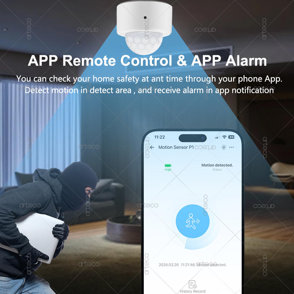 Ewelink Zigbee PIR Motion Sens - Pir Motion Sensor ulasan dan harga