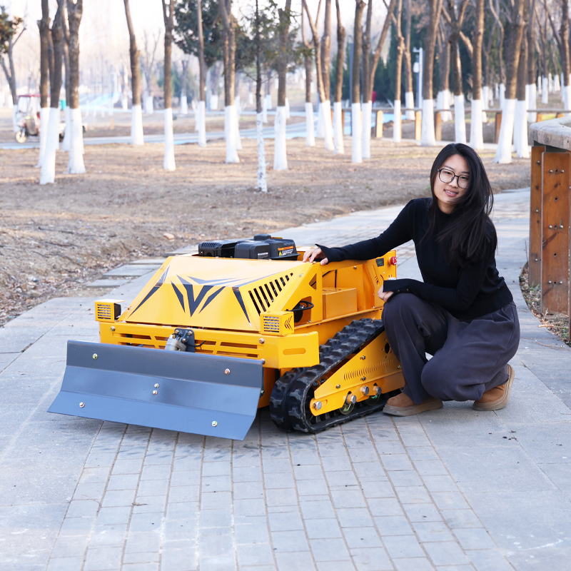 Customized Smart Durable Grass - Smart Home Robot ulasan dan harga