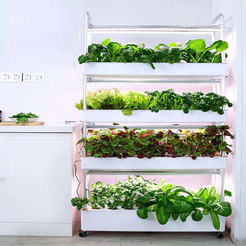 ydroponic Planting System Smar - Smart Home Uses ulasan dan harga