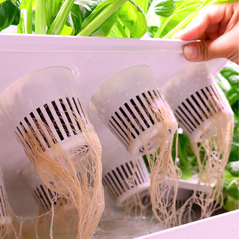 ydroponic Planting System Smar - Smart Home Uses ulasan dan harga
