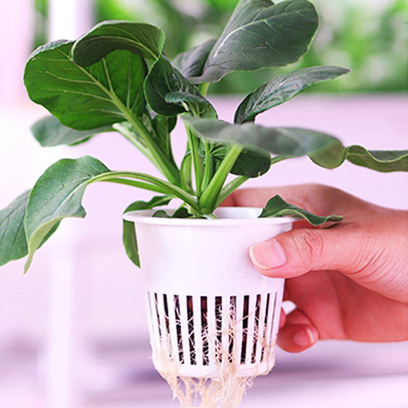 ydroponic Planting System Smar - Smart Home Uses ulasan dan harga