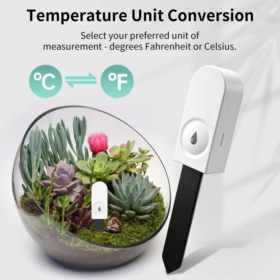 Zigbee 3.0 Plant Monitor Soil  - Smart Home News ulasan dan harga