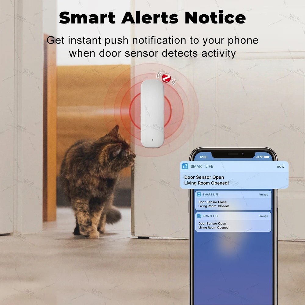 Tuya Zigbee Door Window Sensor - Door Window Sensor ulasan dan harga
